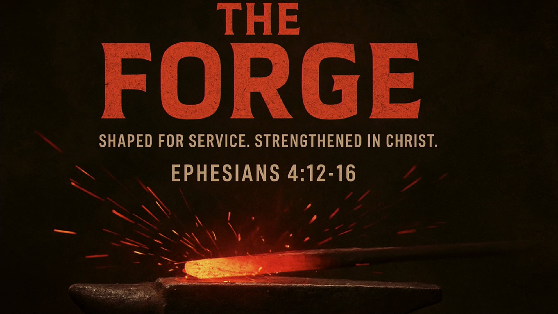 Session 3- How to Study the Bible