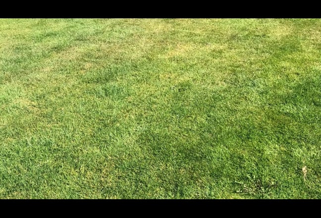 2 bedroomed ground floor flat Main Photo