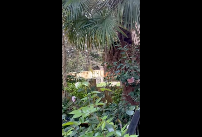 🌿 Quiet Garden Studio-Private Space-Kensington Main Photo