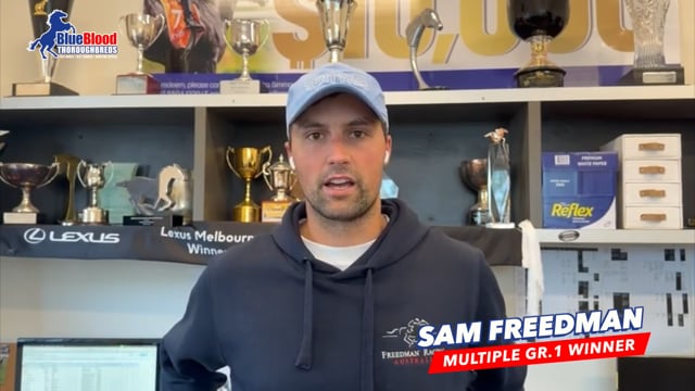 Alabama Express x Trusteed Colt Sam Freedman