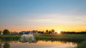 Related Embedded Video Item Thumbnail