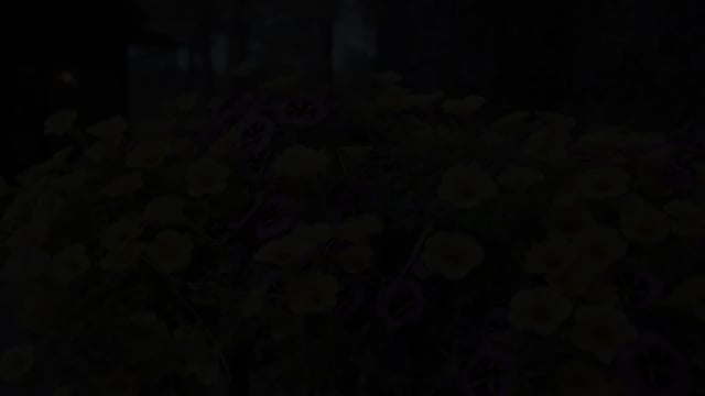 Still frame from Anthony and Xochitl's Flagstaff wedding film at Serendipity in Flagstaff, AZ