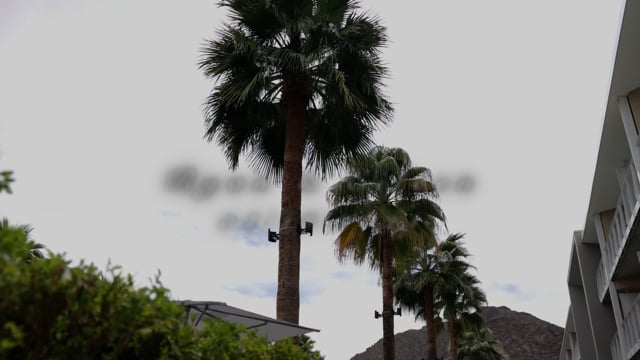 Still frame from Eileen and Ryan's Phoenix wedding film at Mountain Shadows Resort in Paradise Valley, AZ