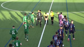 Desplaçaments a Cornellà, Alacant i Ripoll