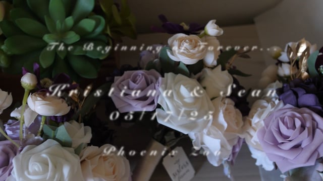 Still frame from Kristiana and Sean's Phoenix wedding film at the Phoenix Zoo in Phoenix, AZ
