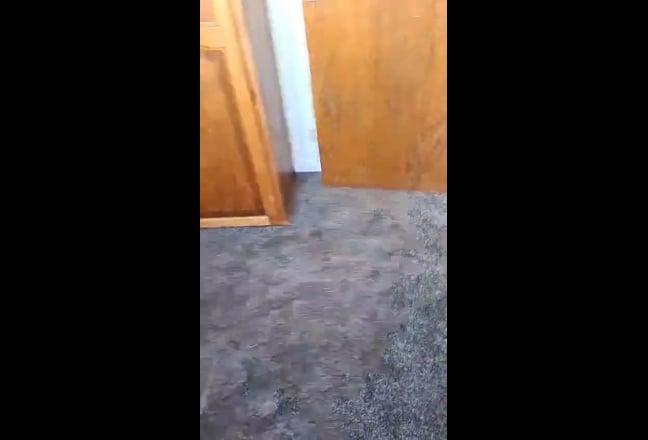 4-Bed House for Rent Main Photo