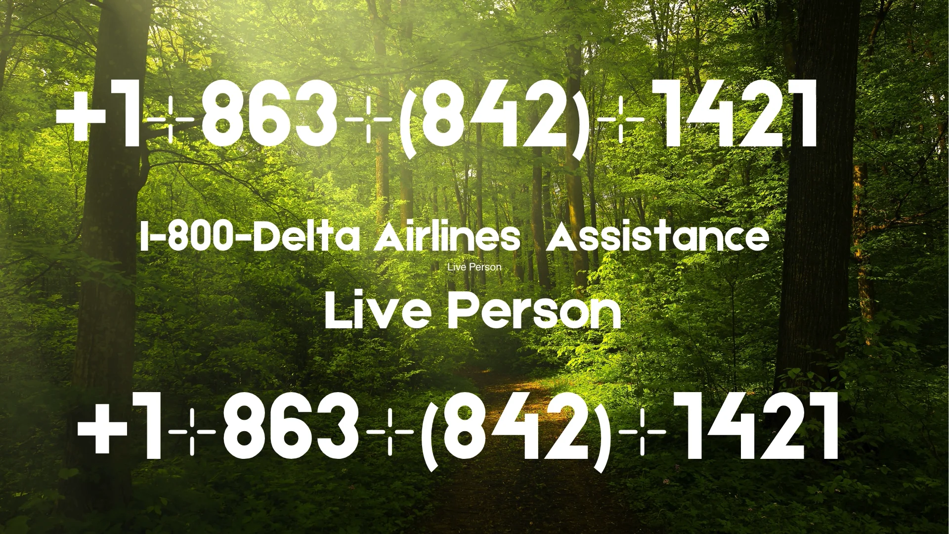 10 Ways to Reach Out Delta Airlines Customer Service Toll Free Number