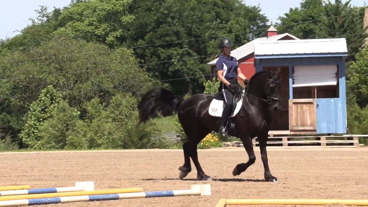 Michele Wellman: Trotting a Basic Cavalletti Pattern