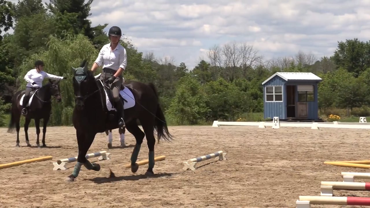 Michele Wellman: Riding a More Challenging Cavalletti Pattern