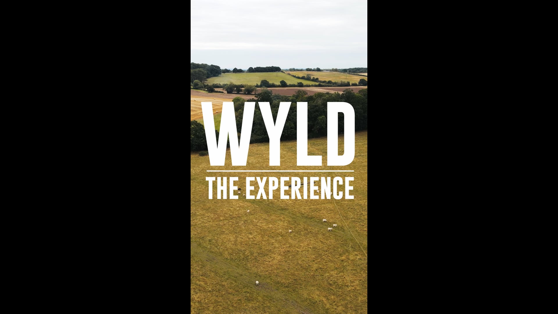 WYLD_THE EXPERIENCE
