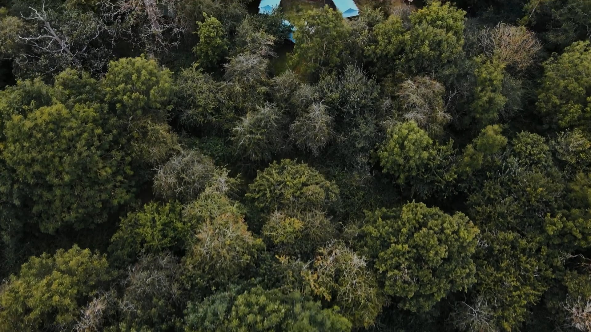 WELCOME TO WYLD TRAILER