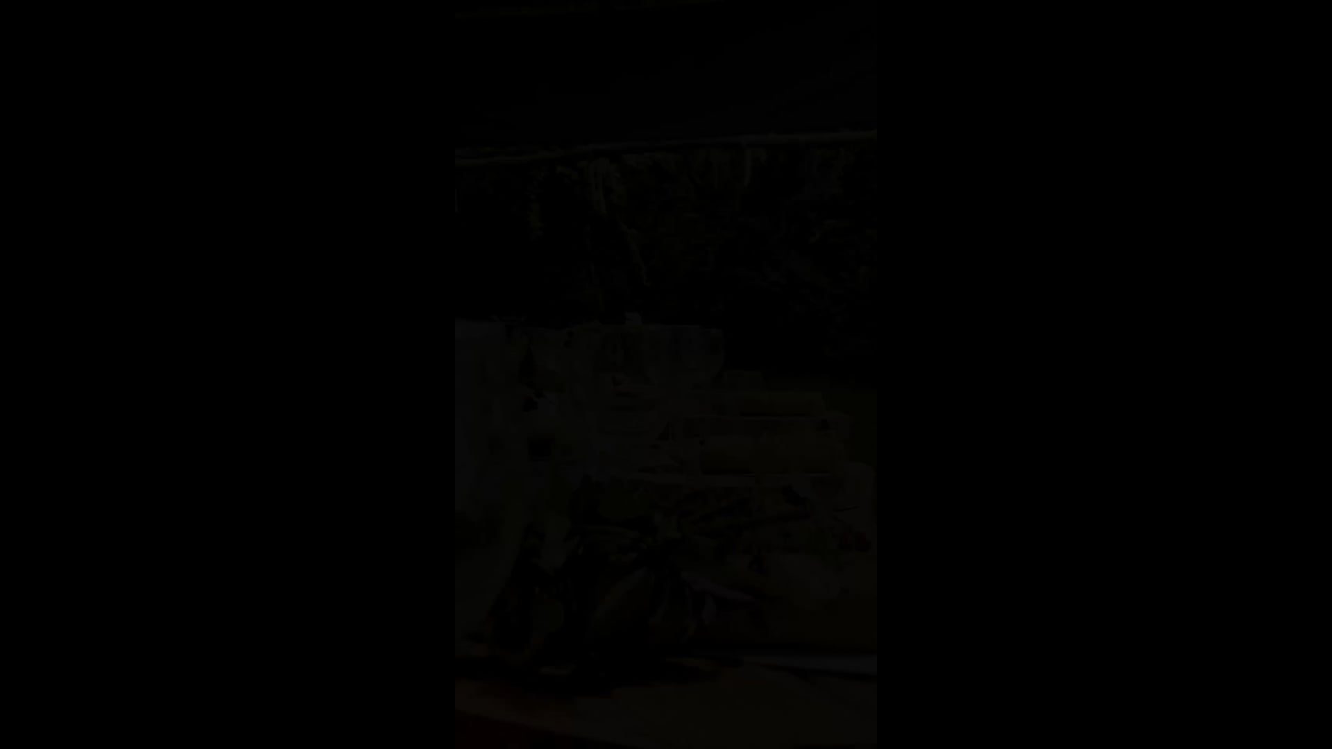 WYLD_6th September 2025