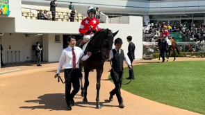 動画サムネイル