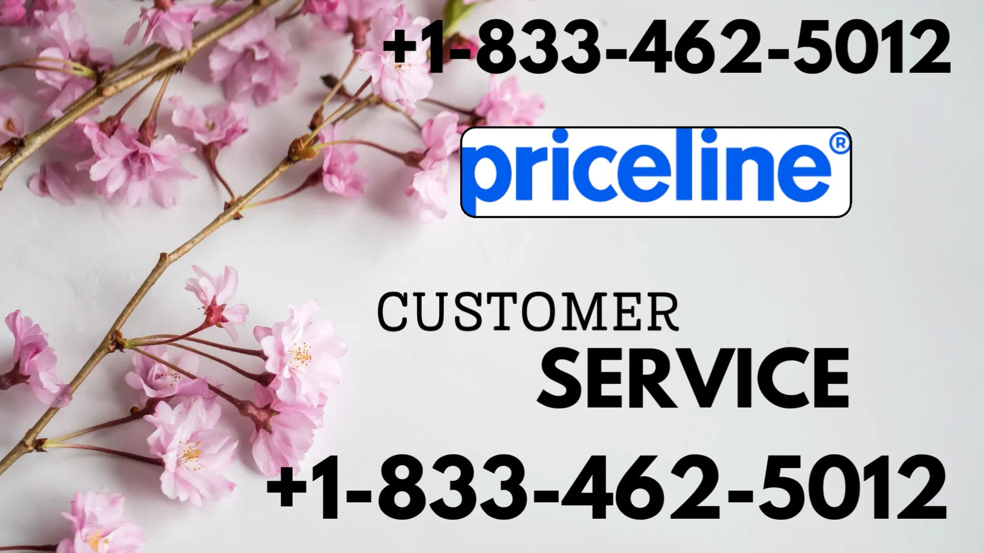 Official Priceline&reg;&reg; Customer Service Complete Official 24-7 Support Guide Call, Email & Chat