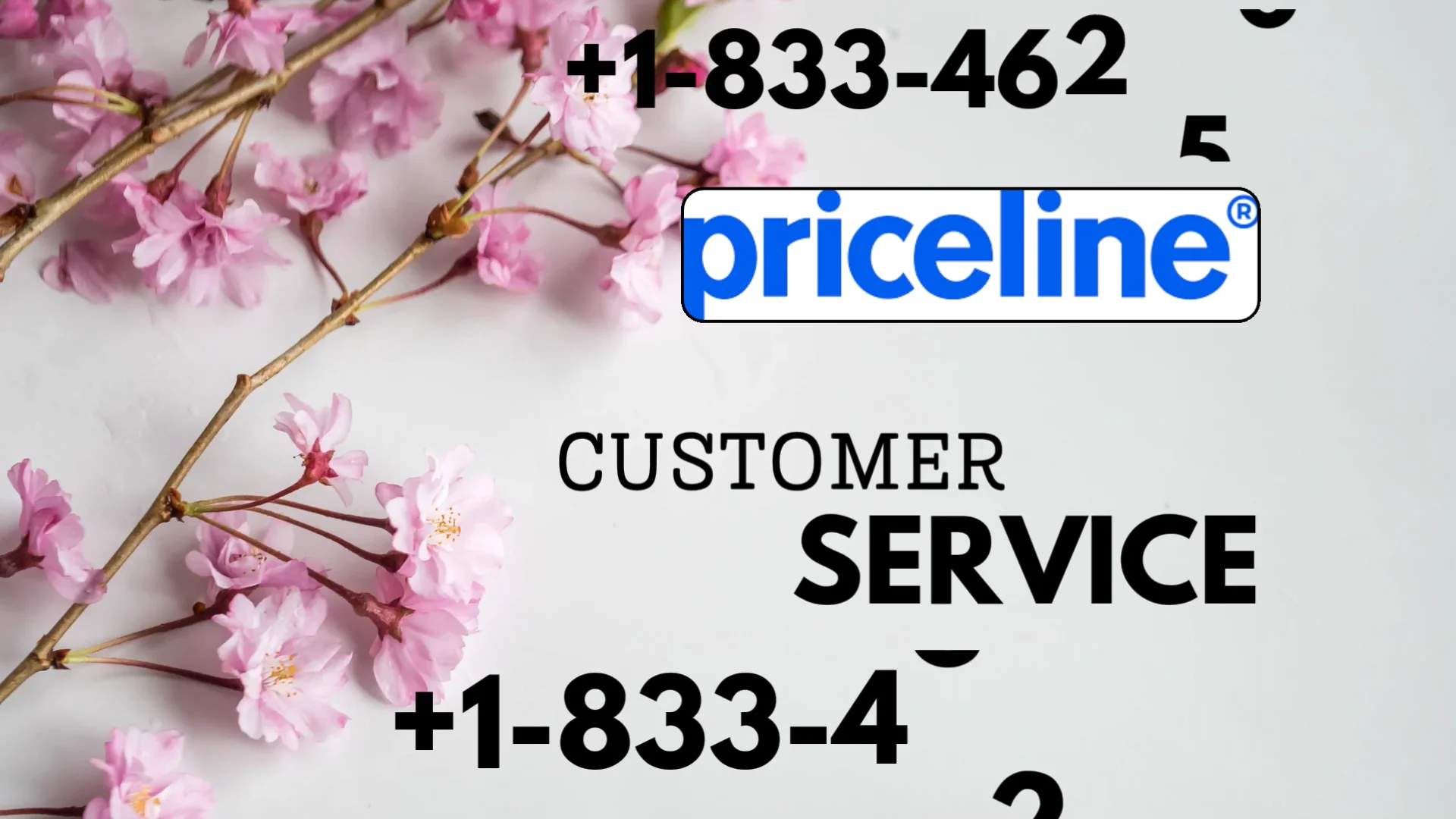 Official Priceline&reg;&reg; Customer Service Complete Official 24-7 Support Guide Call, Email & Chat