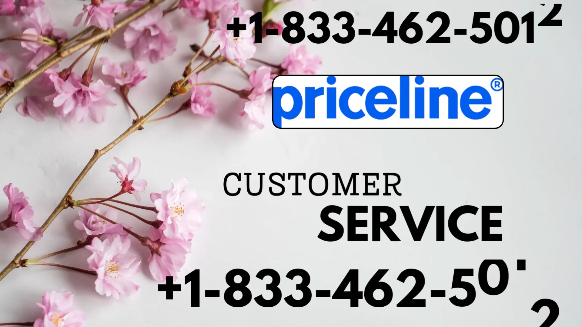 Official Priceline&reg;&reg; Customer Service Complete Official 24-7 Support Guide Call, Email & Chat