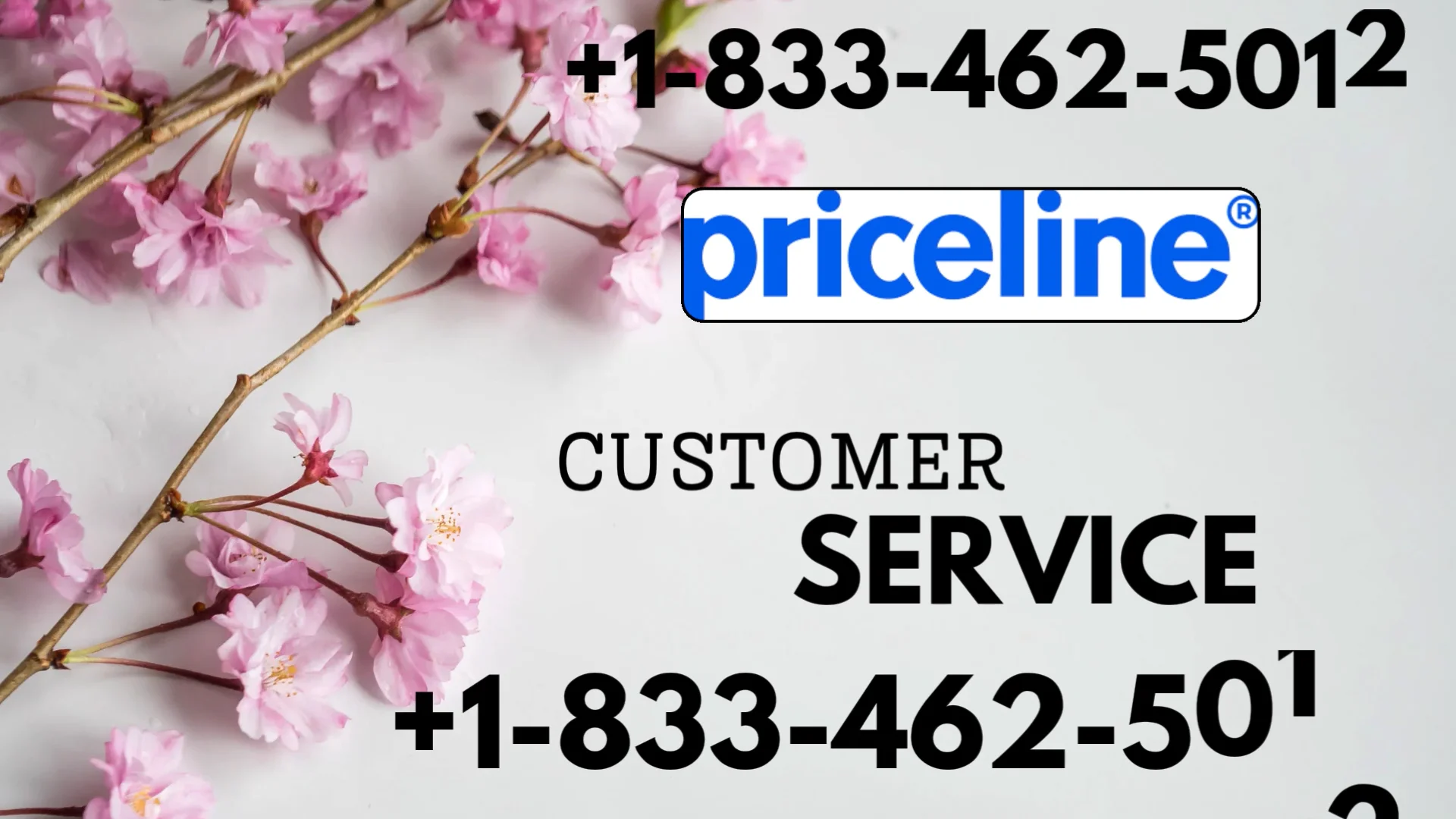 How to Reach Priceline&reg;&reg; Customer Service | Official 24/7 Help Guide