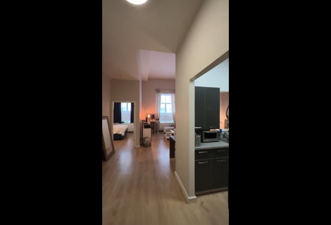 Entire Luxury 1 Bedroom apartment available May  Main Photo