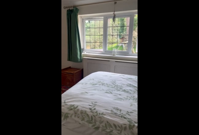 Sunny double room Main Photo