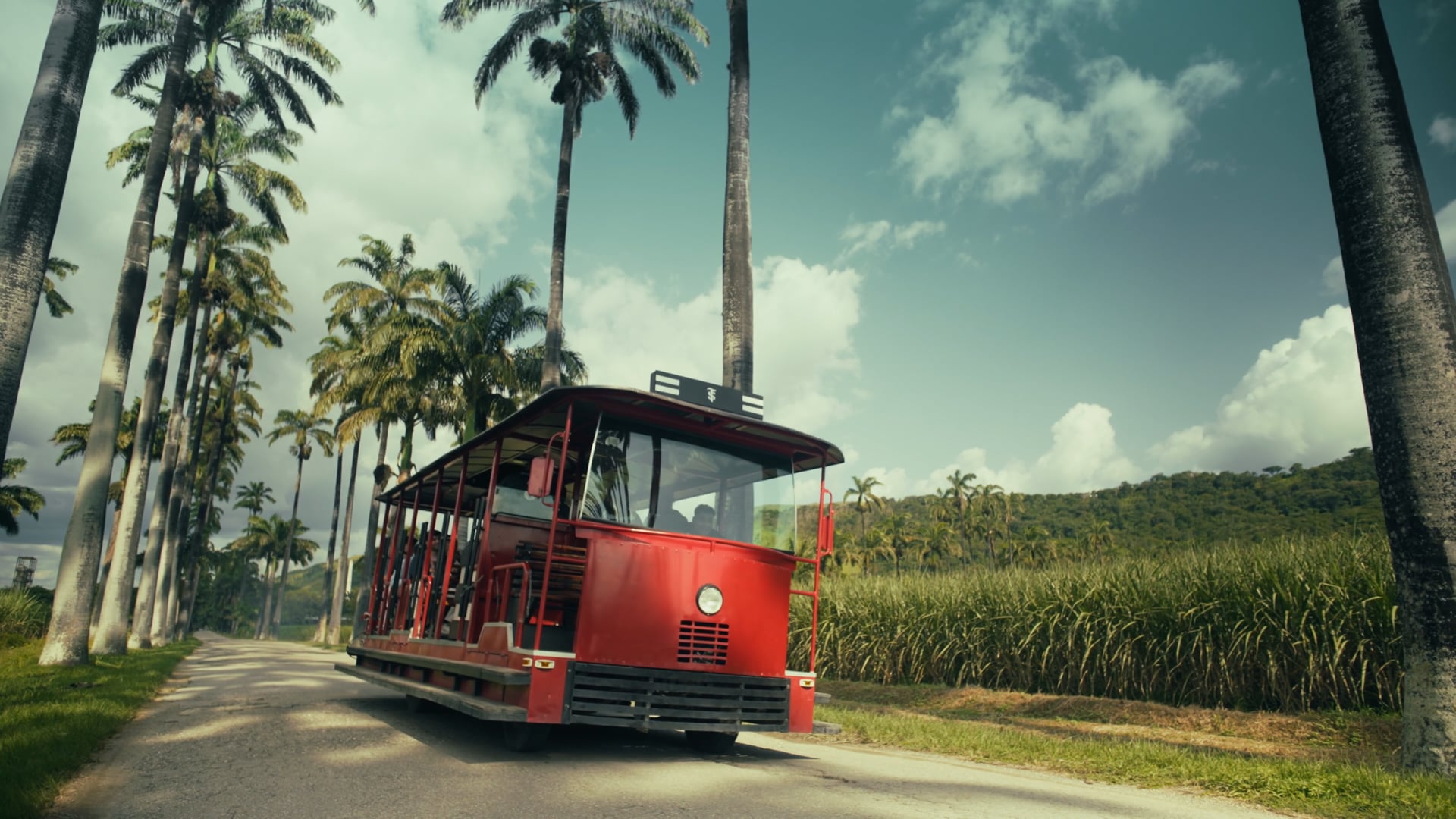 Santa Teresa - Saca el pecho - Paradiso