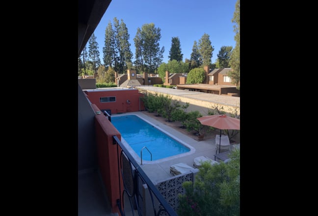 Professional  Seeks Professional.... Main Photo