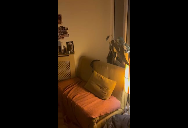 Queer, Spacious, Artistic room in Hackney Wick 🔮 Main Photo