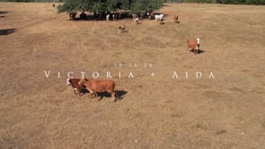 Victoria and Aida's LGBTQ+ wedding highlight film poster frame