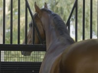 Yulong Vinrock Launch