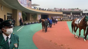 動画サムネイル