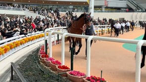 動画サムネイル