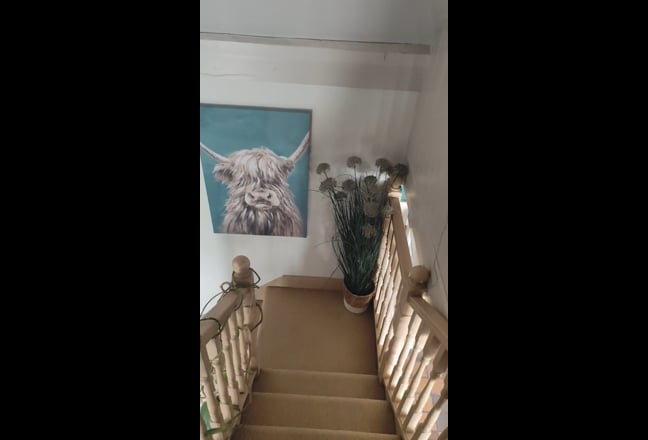 Double room  Main Photo