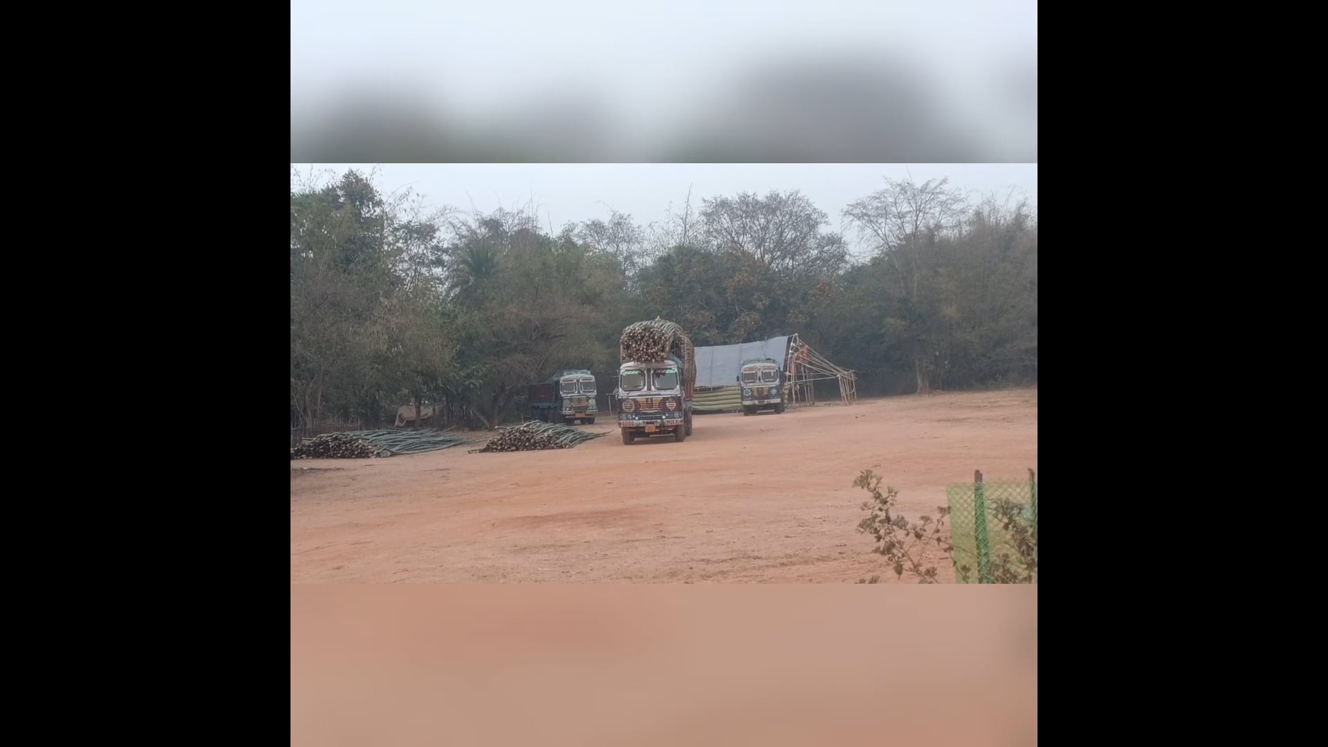  ବାଉଁଶ ବେପାରୀମାନଙ୍କ ଭୂସ୍ୱର୍ଗ ପାଲଟିଛି ମୟୂରଭଞ୍ଜ ର ମୋରଡା ବ୍ଲକ।