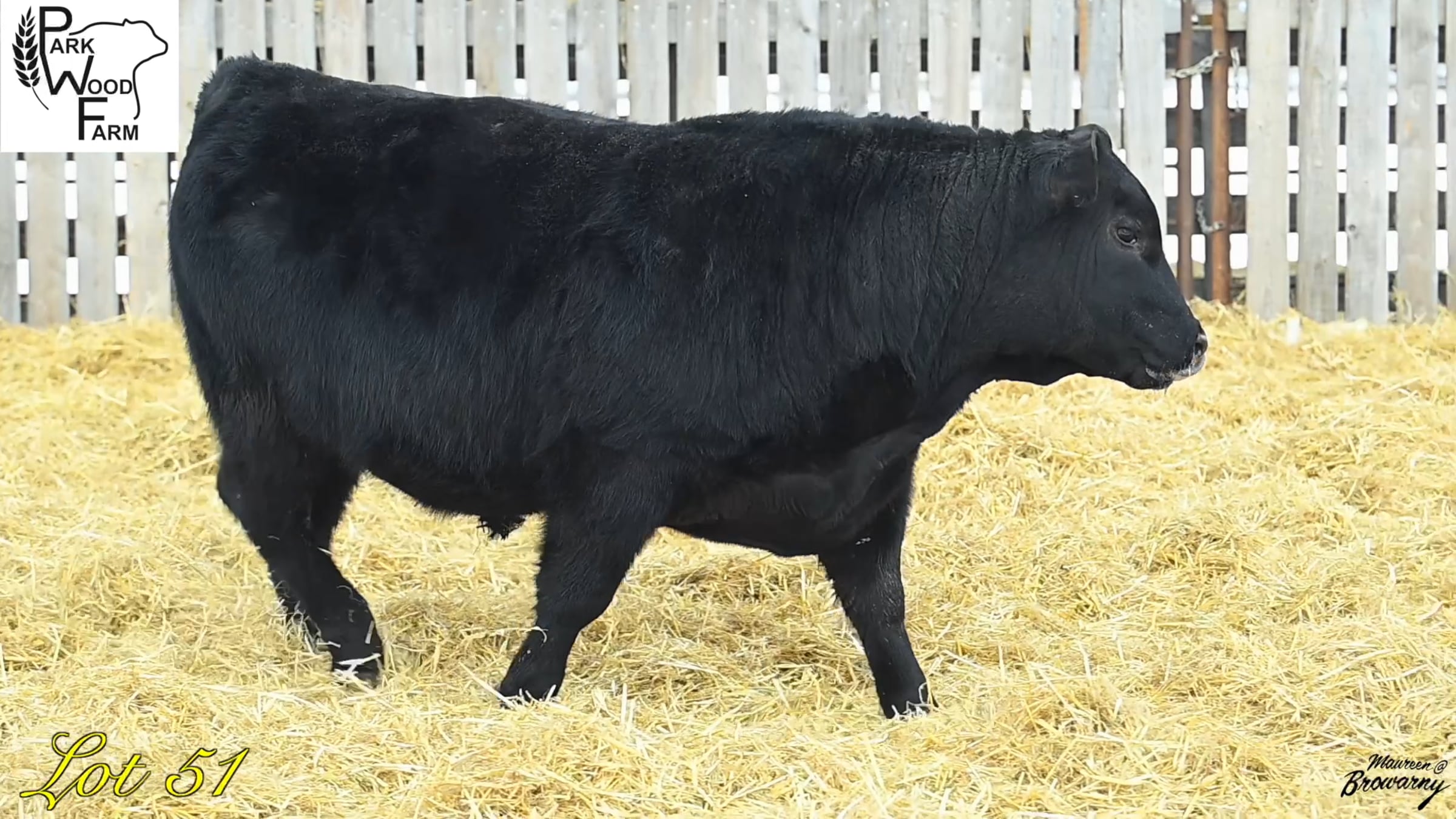 Lot 51 - 63N.mov | Videos & Movies on Vimeo