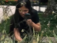 Thumbnail do vídeo