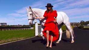 Related Embedded Video Item Thumbnail