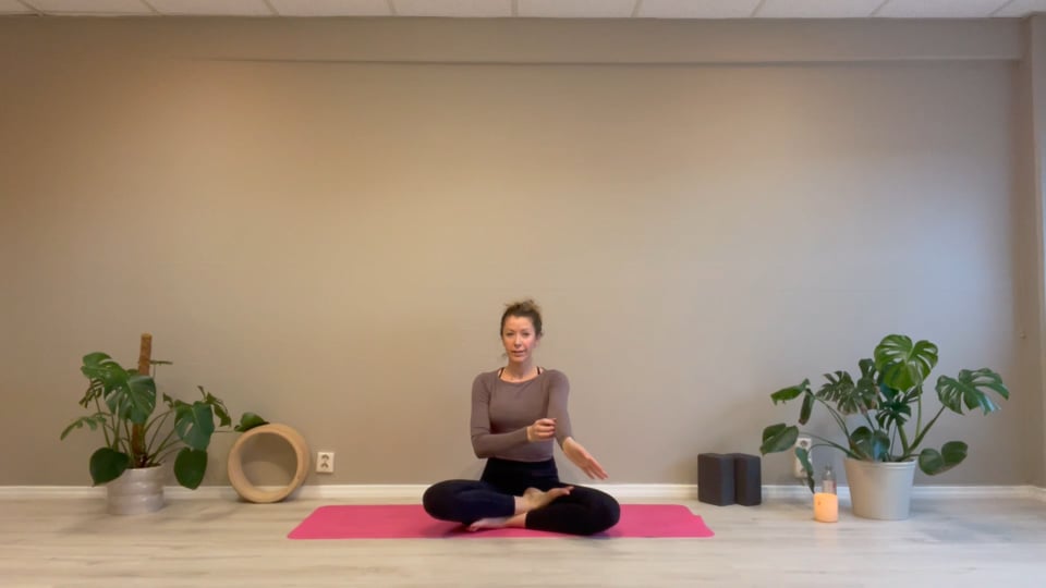 Ut av vinterhi styrke 30 min video 2