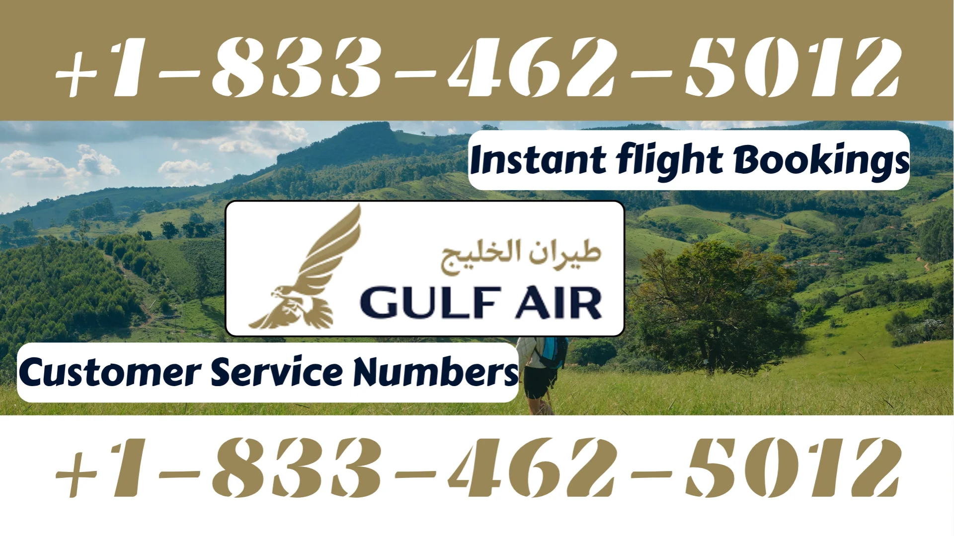 Gulf Air&reg; Customer Service {Live} Complete Guide ➢ Step-by-Step Help & Support Guide 247
