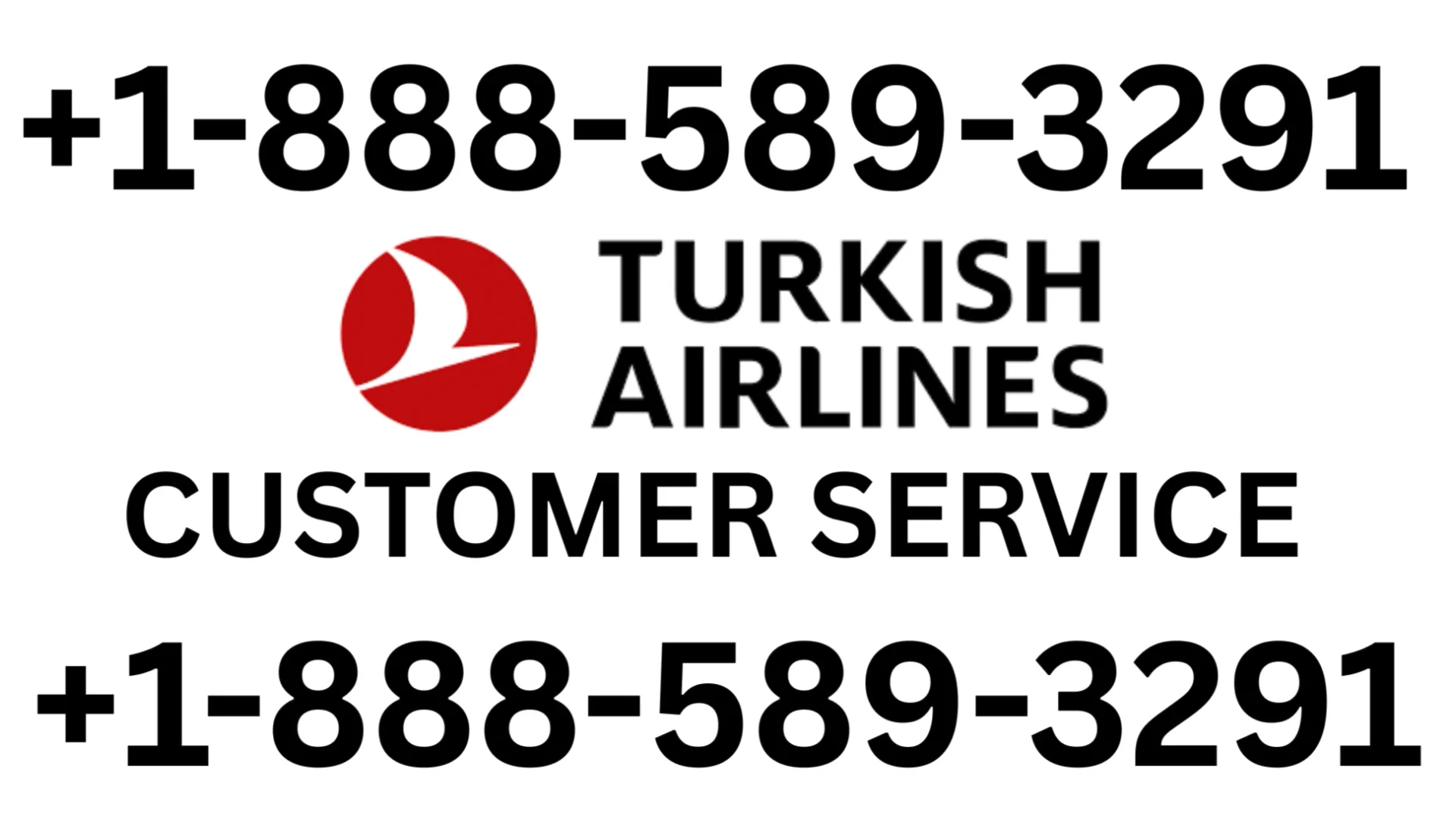 Full Guide to Turkish Airlines&reg; Customer Service Representative &ndash; Speak 24-7