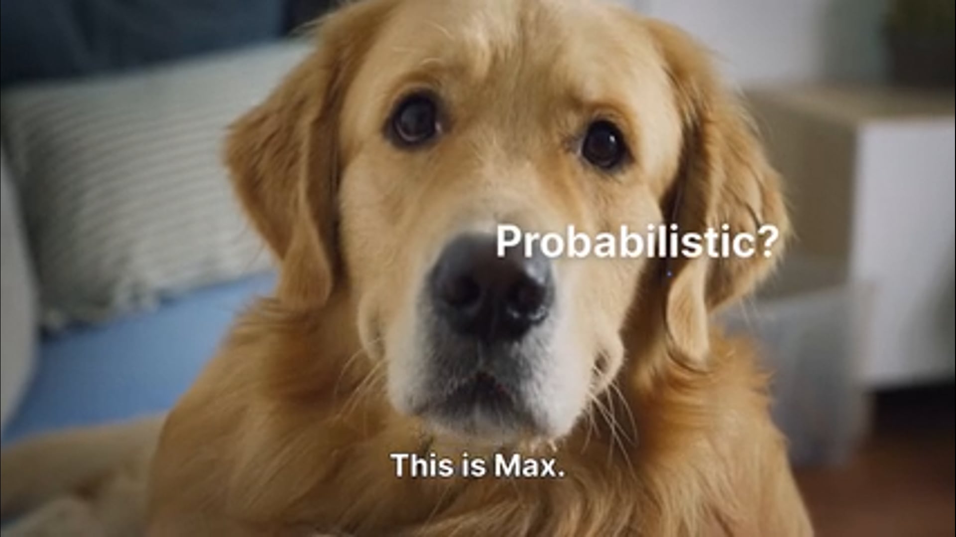 Be More Like Max