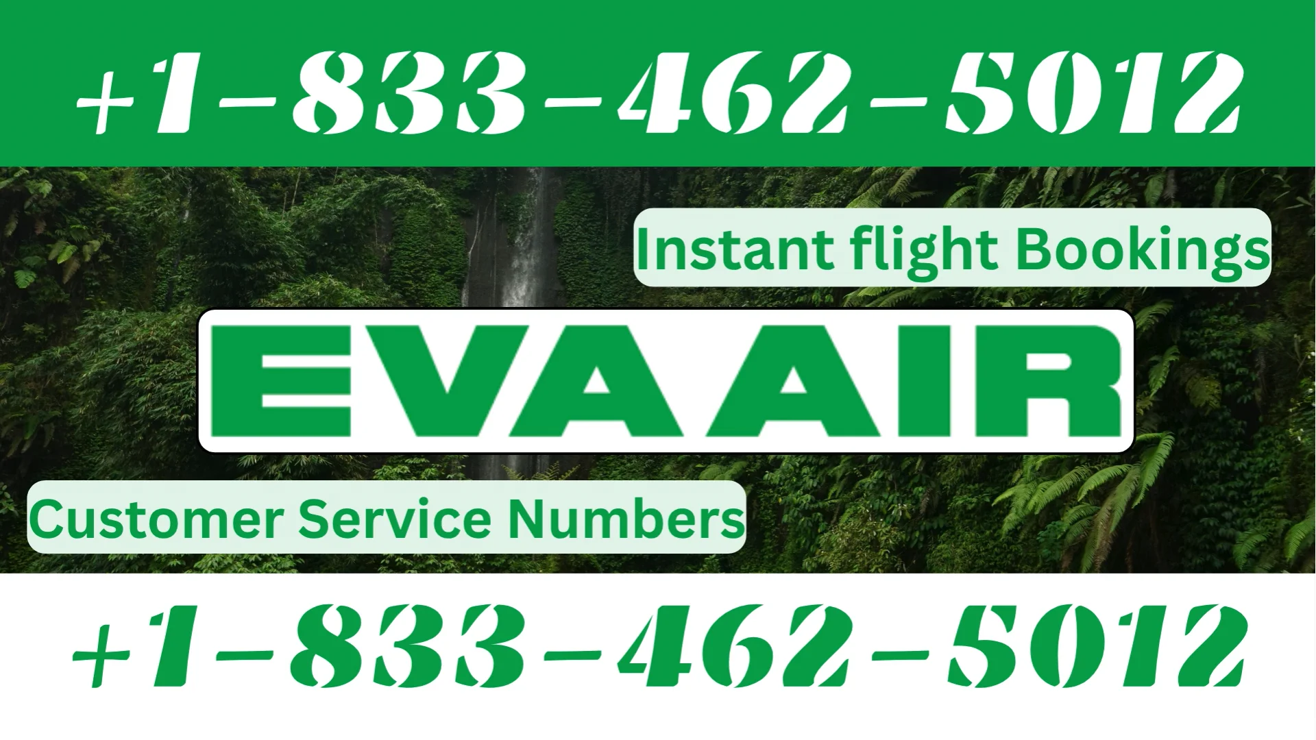 How to Contact Eva Air&reg; Customer Service Official 24-7 Support Guide