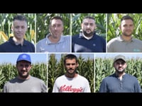 Genética, herbicidas y digitalización centran los esfuerzos de Bayer CropScience