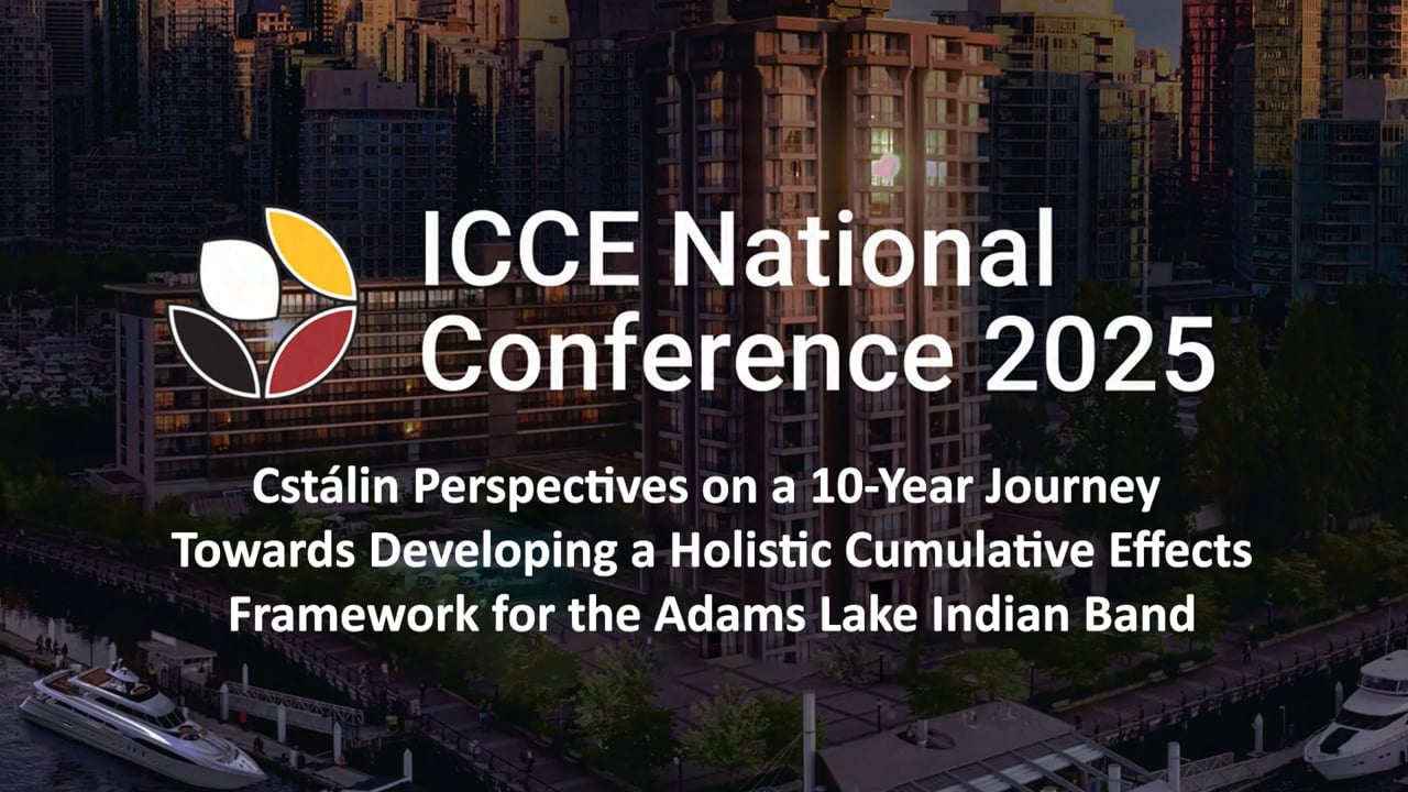 Cstálin Perspectives on a 10-Year Journey Towards Developing a Holistic CE Framewor