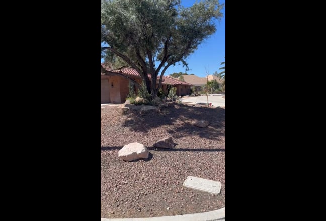 Private Room w/ Separate Entrance – Pool Access –  Main Photo