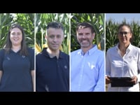 Recomendaciones concretas y prácticas sobre manejo, control de hierbas y calidad de siembra