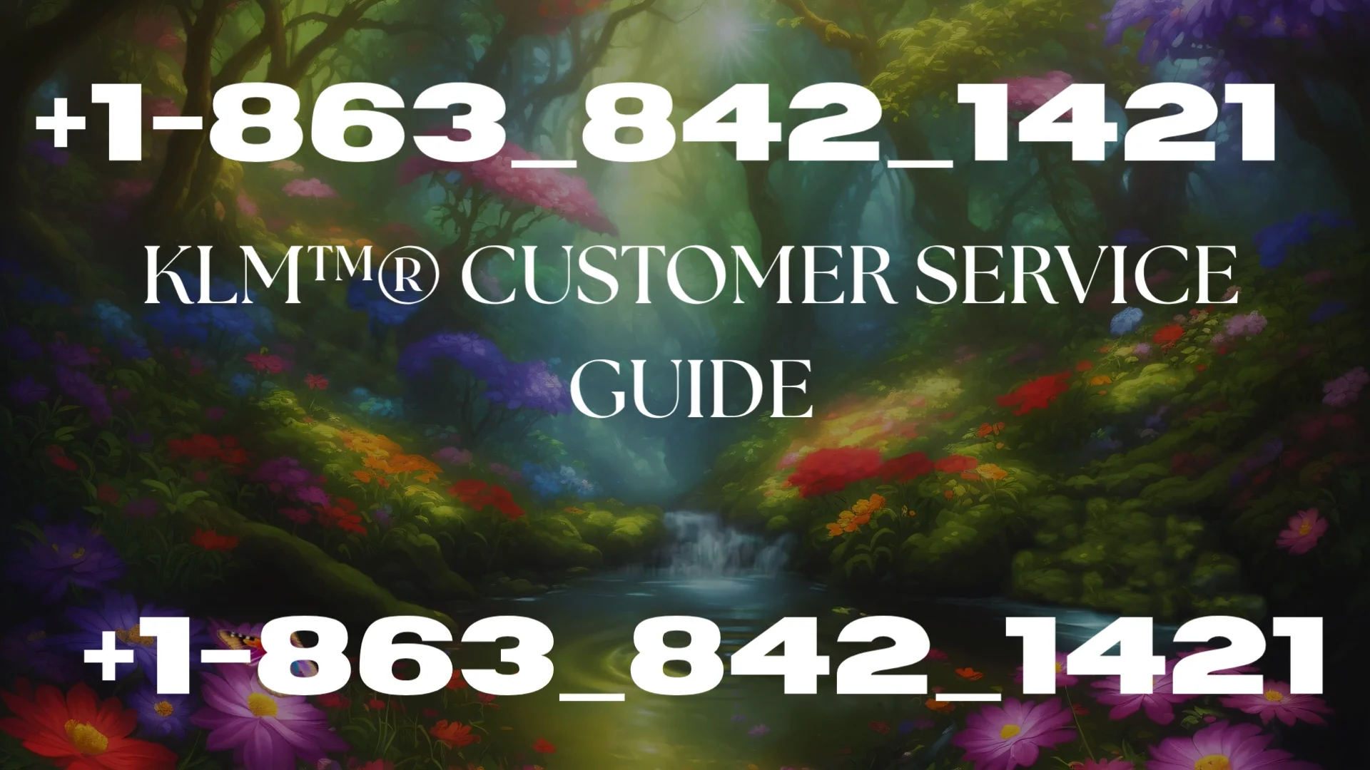 {Official} KLM&trade;&reg; Customer Service Guide | Step-by-Step Help & Support Explained