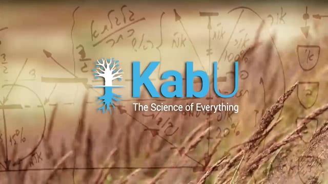 Mar 22, 2026 – The Rav, the Group and the Books 1