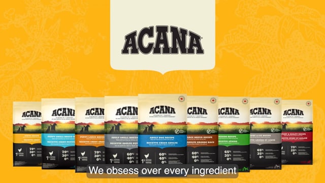 ACANA Senior Recipe Dog Food - Pet Valu