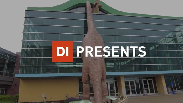 Dimensional Innovations - Company Overview