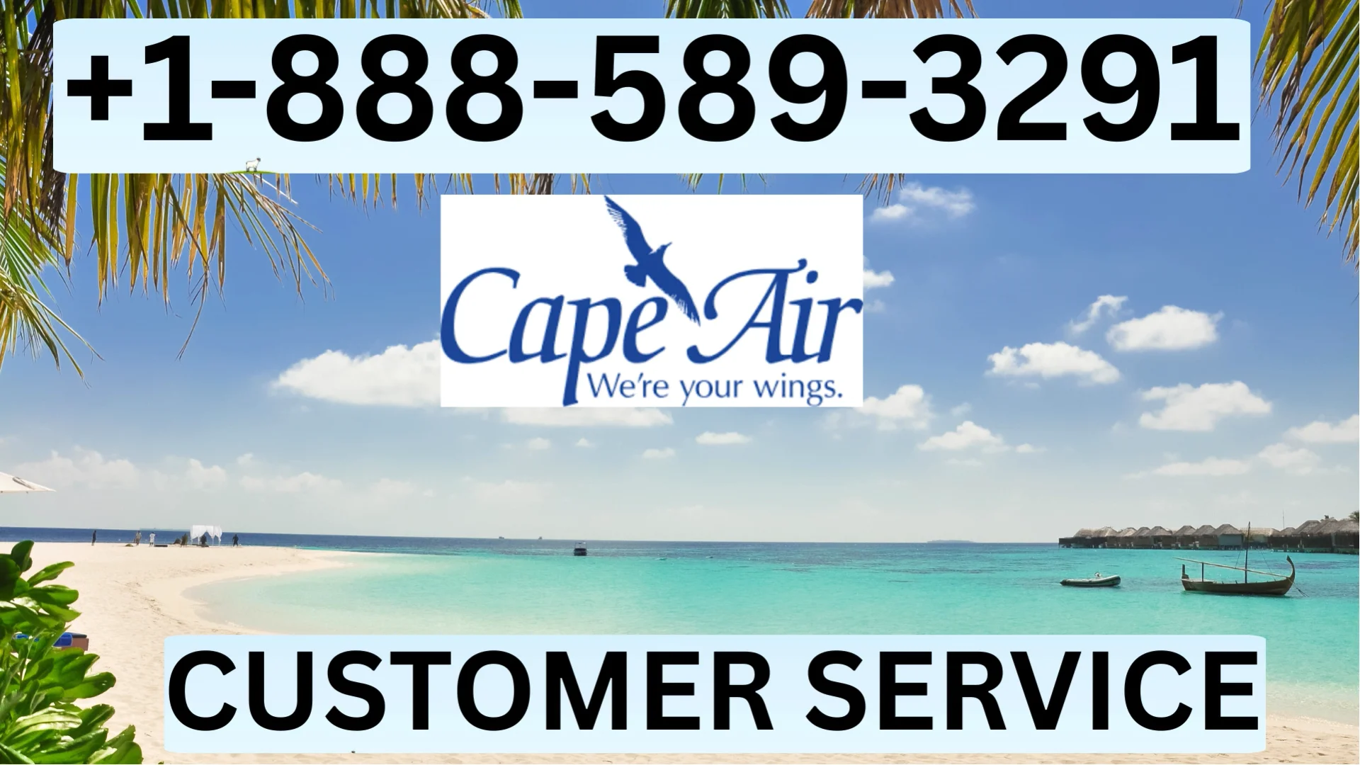 Official Cape Air&reg;&reg; Customer Service Complete Official 24-7 Support Guide Call, Email & Chat