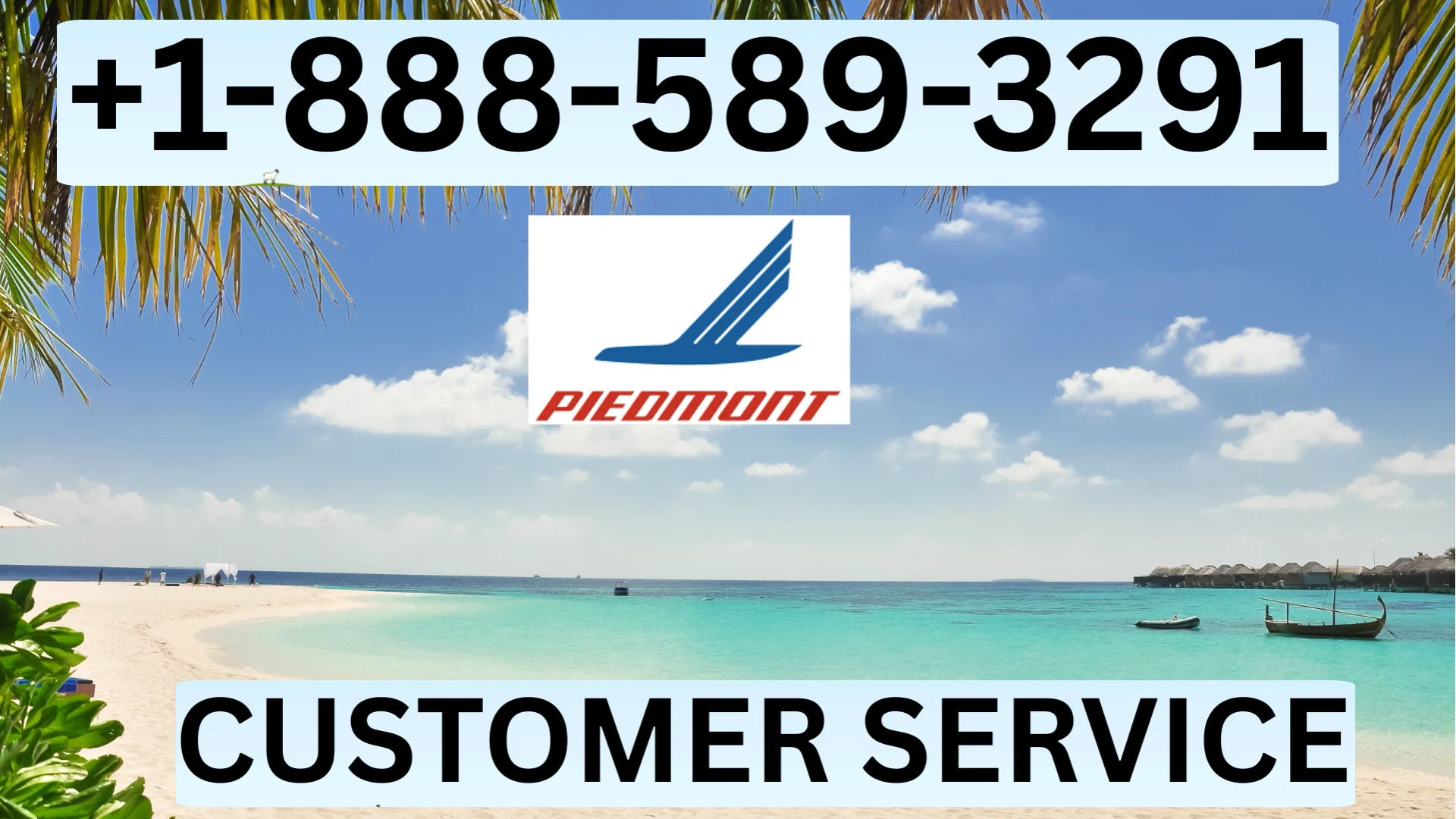 Official Piedmont Airlines&trade;&reg; Customer Service Complete Official 24-7 Support Guide Call, Email & Chat